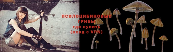 стаф Абаза
