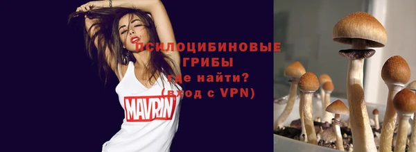 стаф Абаза