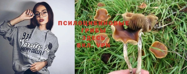 MESCALINE Михайлов